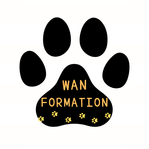 ワンフォメーション